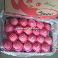 /msite/products/detail/productid/54855570/id/542998.html